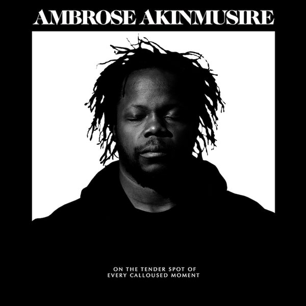 Cover of 'On The Tender Spot Of Every Calloused Moment' - Ambrose Akinmusire